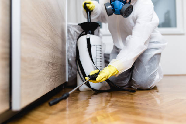 Best Pest Control Near Me in De Soto, KS