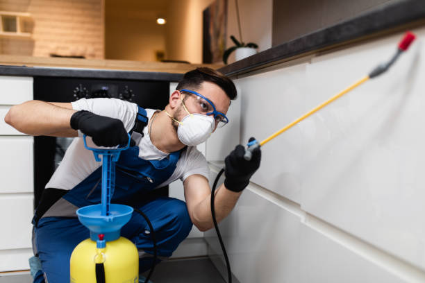 Best Rat Extermination Near Me  in De Soto, KS