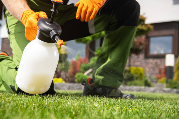 Reliable De Soto, KS Pest Control Solutions