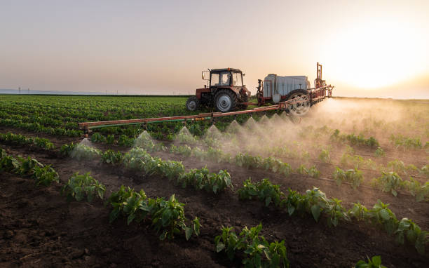 Best Cockroach Control Services  in De Soto, KS