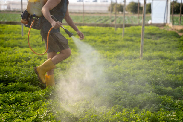 Best Affordable Pest Control Services  in De Soto, KS