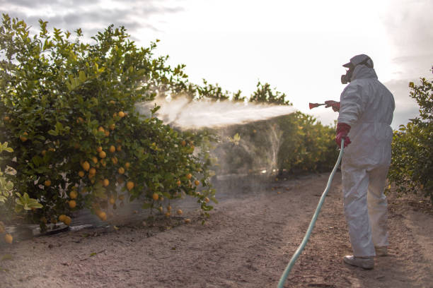 Best Emergency Pest Control  in De Soto, KS