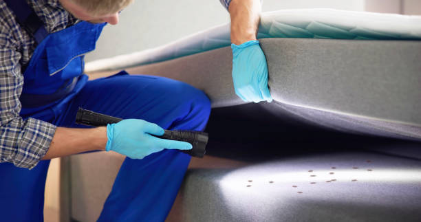 Best Exterminator Services  in De Soto, KS