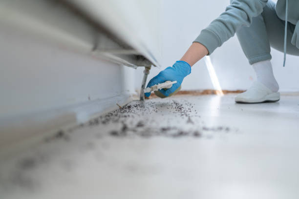 Best Mosquito Control Services  in De Soto, KS
