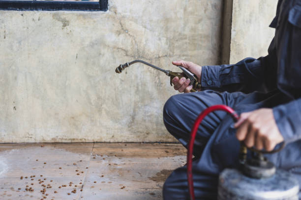 Best Pest Removal Services  in De Soto, KS